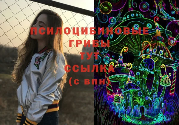 твердый Бронницы