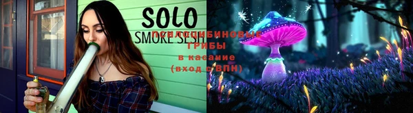 прущие грибы Бородино