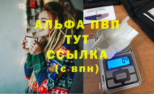 прущие грибы Бородино