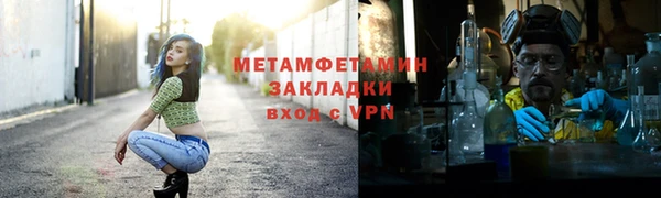 прущие грибы Бородино