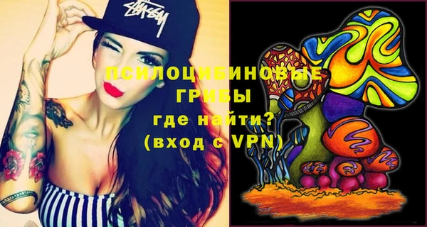 твердый Бронницы