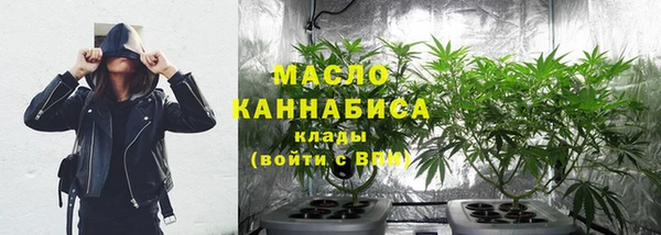 прущие грибы Бородино