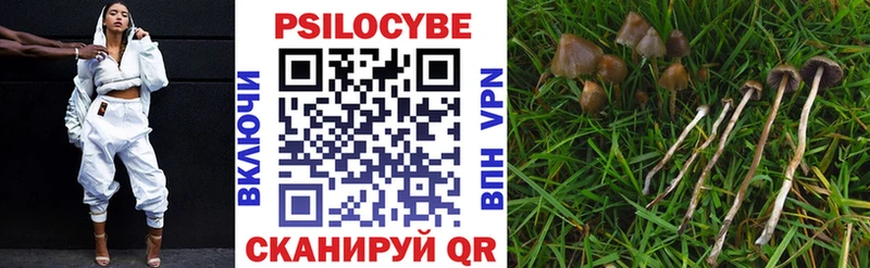Купить закладки  Курлово  Галлюциногенные грибы мухоморы 